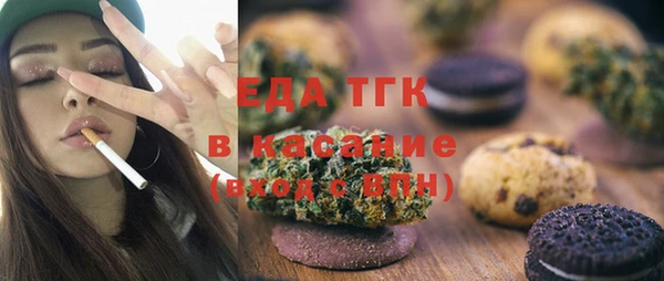гидра Инта