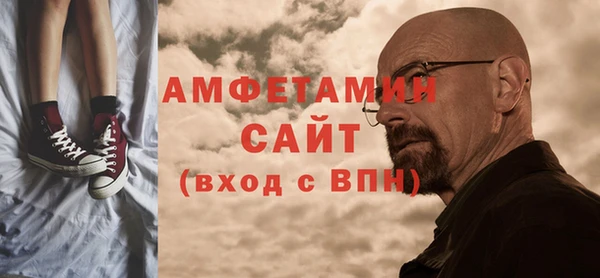 гидра Инта
