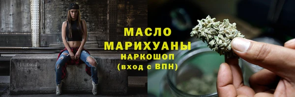 гидра Инта