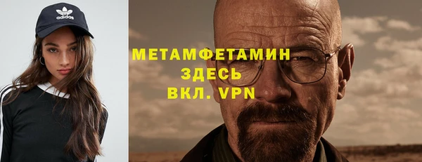 гидра Инта
