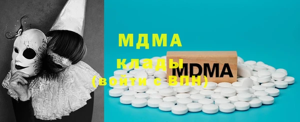 гидра Инта