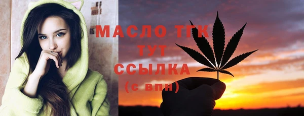 гидра Инта