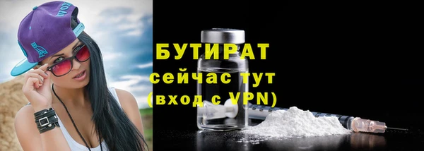 гидра Инта
