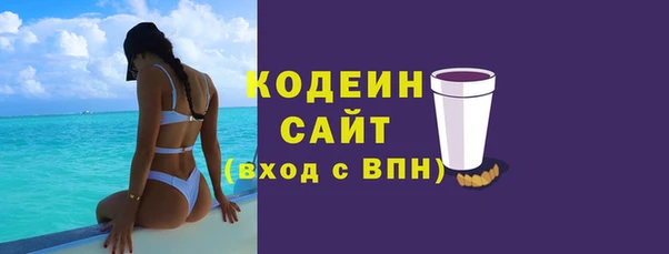 гидра Инта