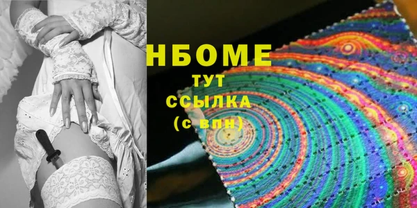 гидра Инта