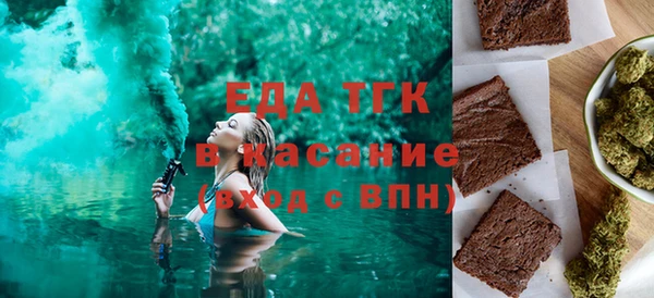 гидра Инта