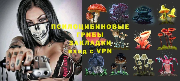 бошки Инсар