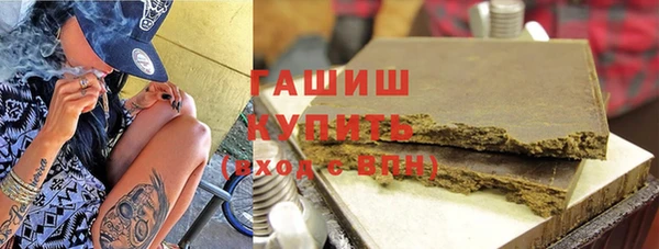 гидра Инта